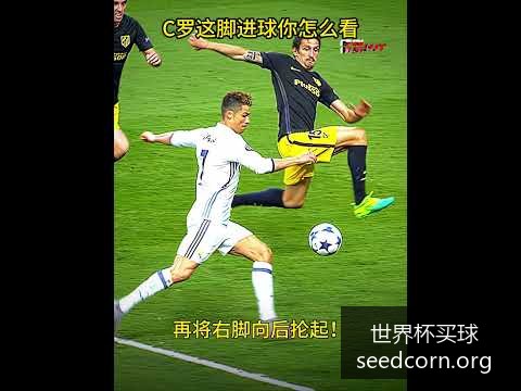 阿根廷战胜,法国夺冠,梅西助攻两,世界杯买球官网,世界杯买球App,世界杯买球投注,世界杯买球入口,世界杯比赛信息